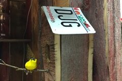 IMG_2997-web