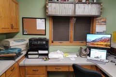 After: Window Treatments